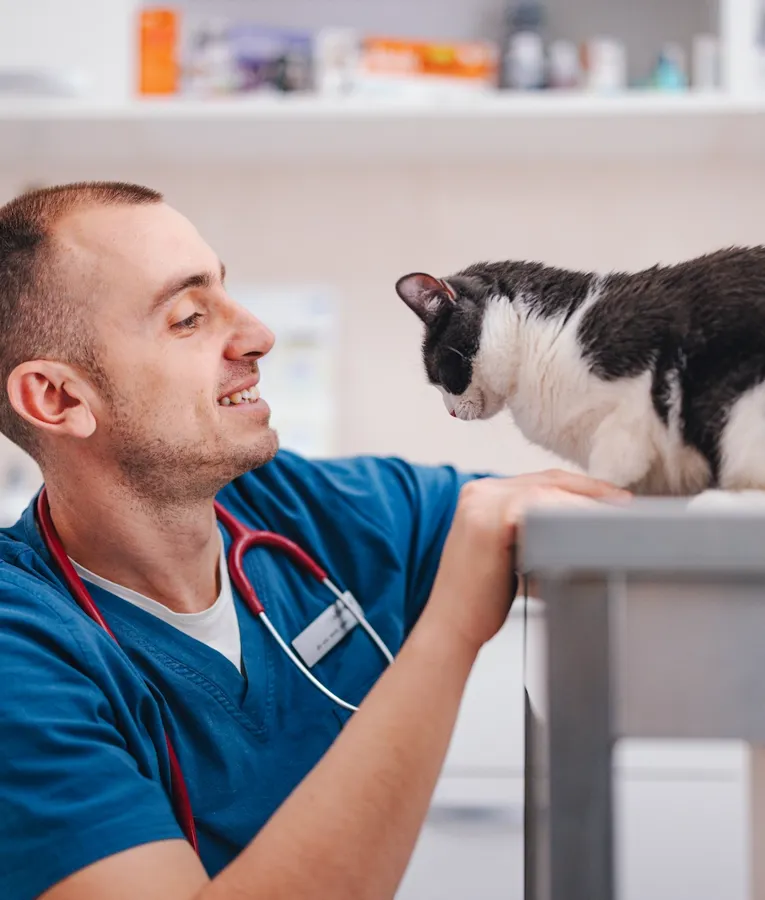 En smilende dyrlæge i blå uniform kærligt nusser en sort-hvid kat på et undersøgelsesbord i en dyreklinik.